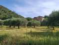 /album/14-juin-2026-mialet/l-116-jpg/